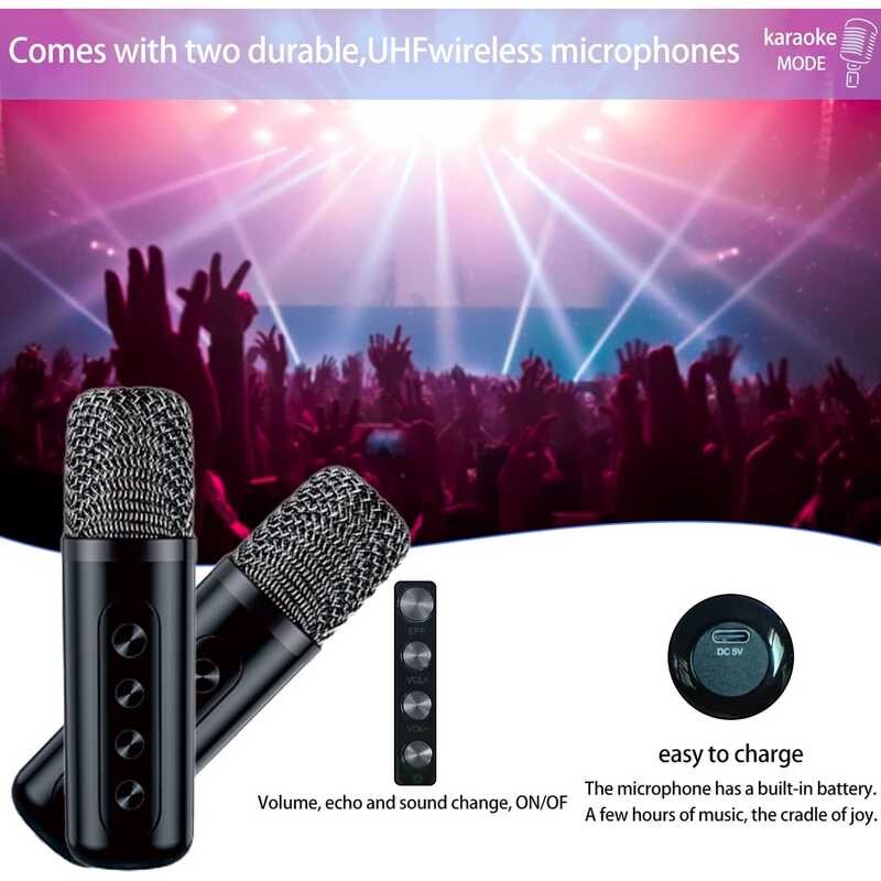 Dual Microphone 100W Portable Professional Karaoke Dual Microphone ...