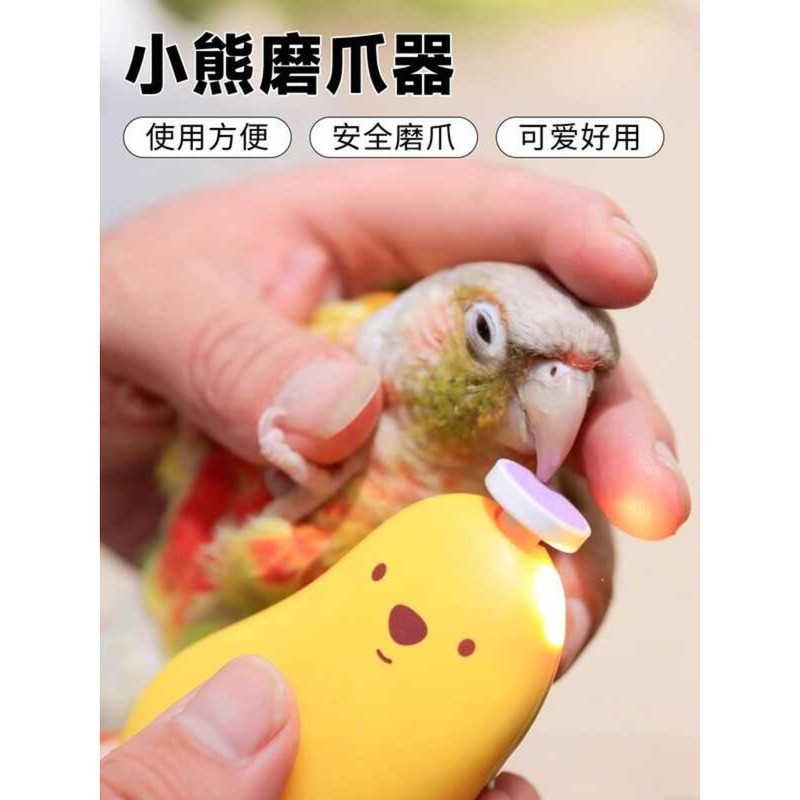Curated visual reference: Electric Parrot Beak Bird Lovebird Cockatiel Sun Conure Claw Teeth Photo Inspiration