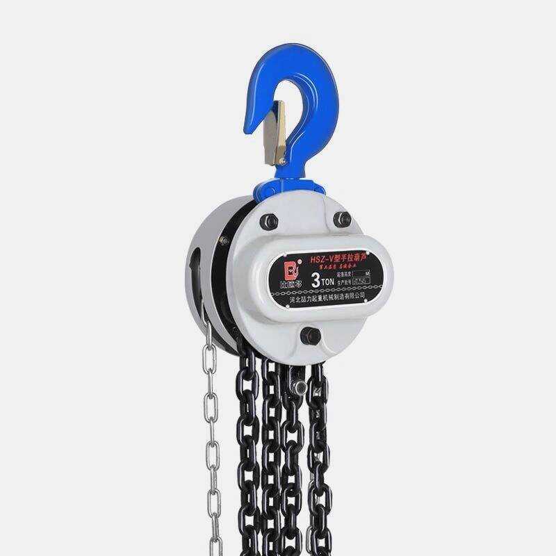 German Imported Reverse Hoist 2 1 5 Ton 3T Meter National Standard G80 ...