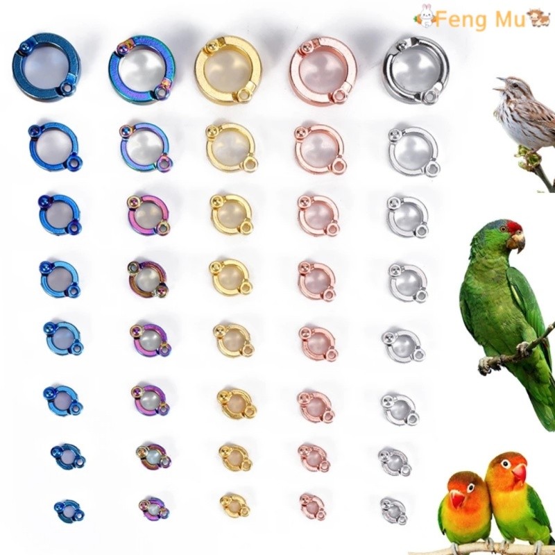 Bird ring Parrot Metal Foot Ring Outdoor Fly Training ring for Birds ...