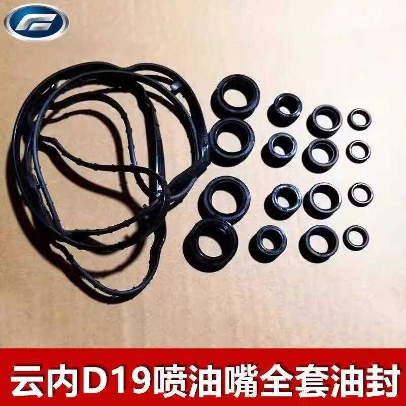 Fudi Lanfu Lion F22 Nozzle Injector Oil Seal Yunnei D19 Engine Valve ...