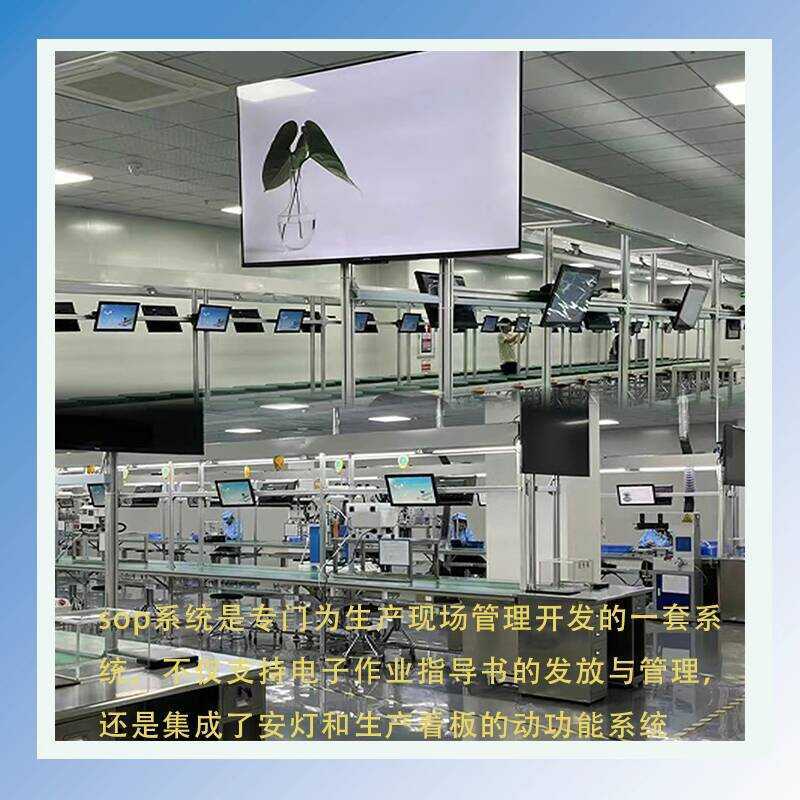 SOP Standard Electronic Work Instruction Display Screen Assembly ...