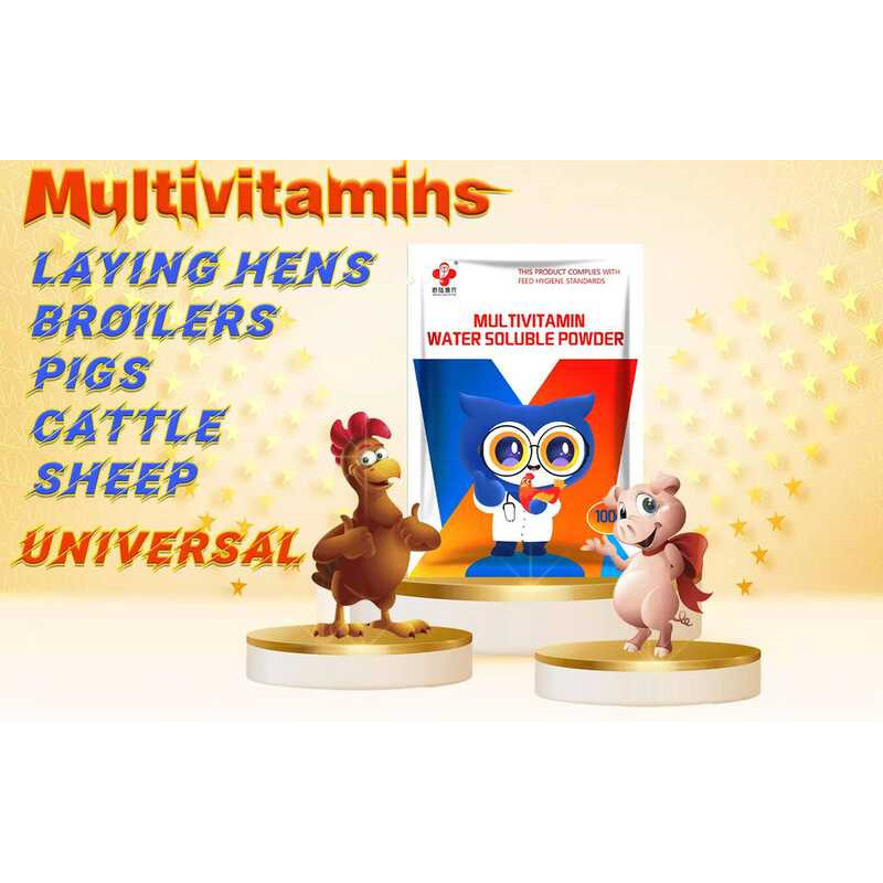 Weight Gain Additive Chicken Growth Feed Broiler Weight Gain Booster ...