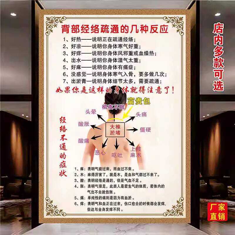 Back Human Meridian Acupoint Standard Large Diagram Traditional Chinese ...