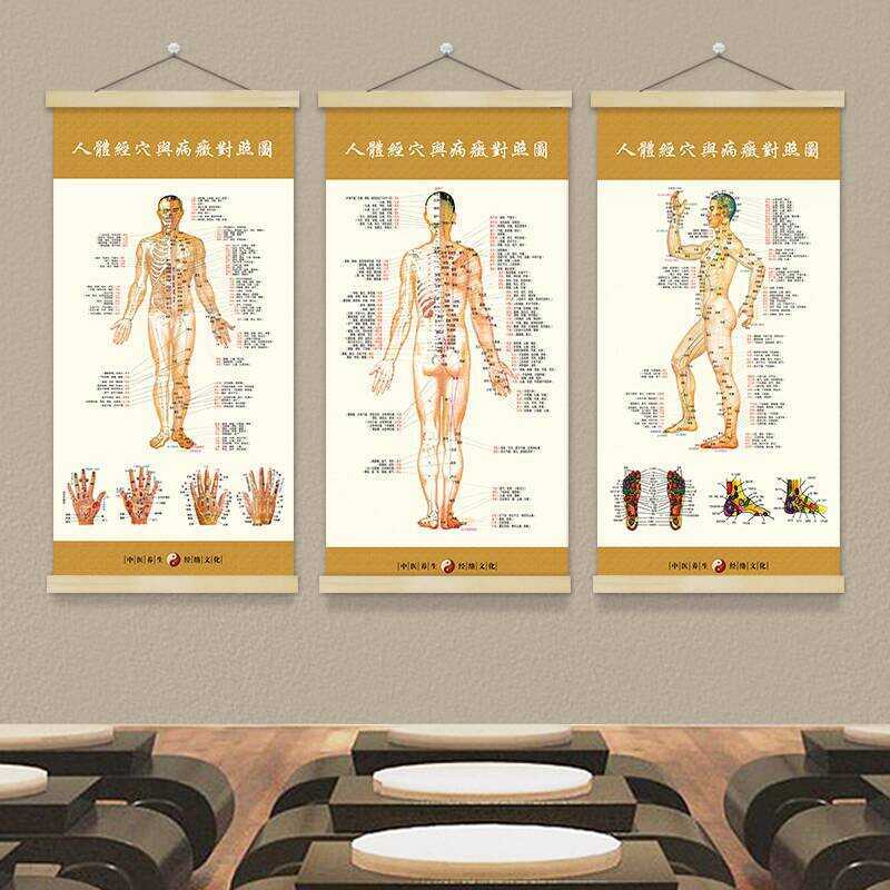 Human Meridian Pathology Comparison Standard Acupoint Wall Chart ...
