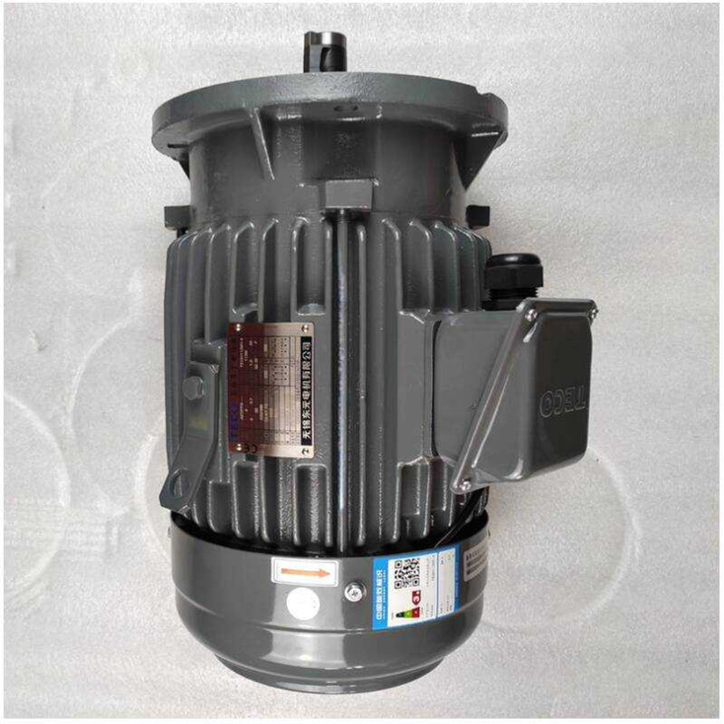 TECO Vertical Three-phase Asynchronous Motor,TEGV112M-4 Brake Motor ...
