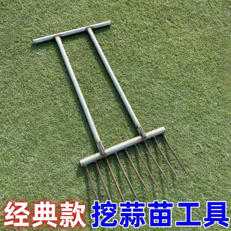 COD Garlic Sprout Extractor, Garlic Seedling Extractor, Ginger Garlic ...