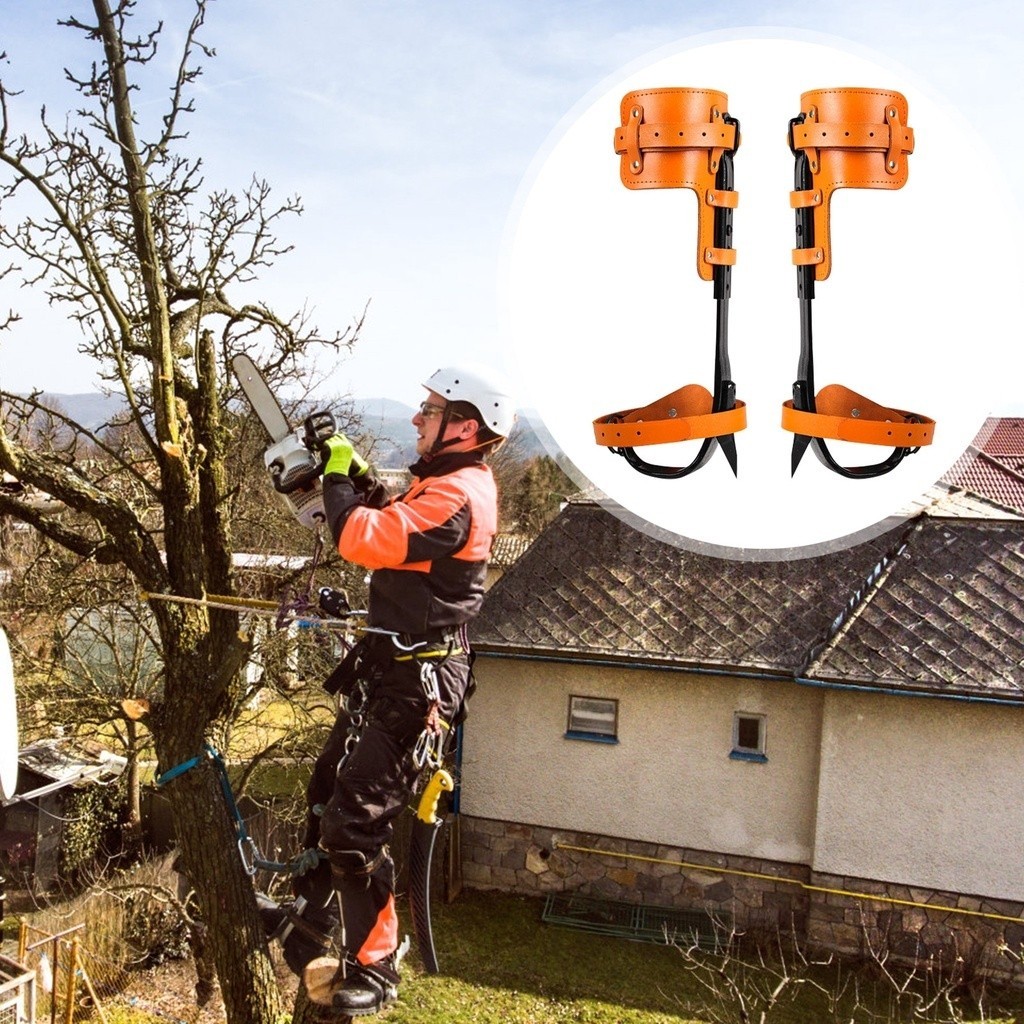 Tree Climbing Spikes Pole Climbing Spikes Stainless Steel Tree Climbing ...