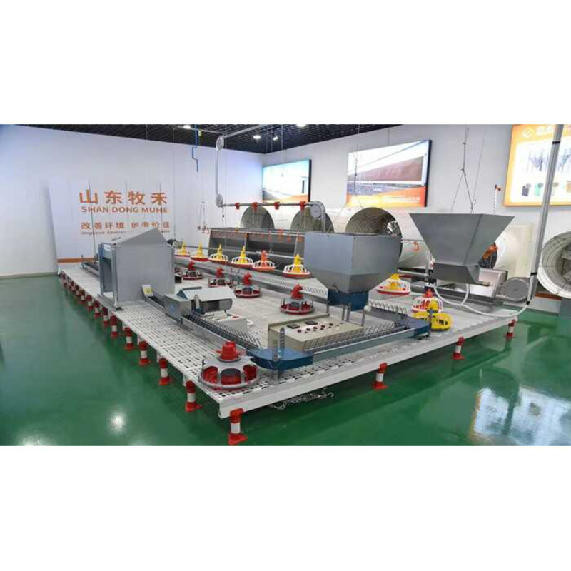 Multi-Level Tray Poultry Plastic Horizontal Automatic Chicken Feeding ...