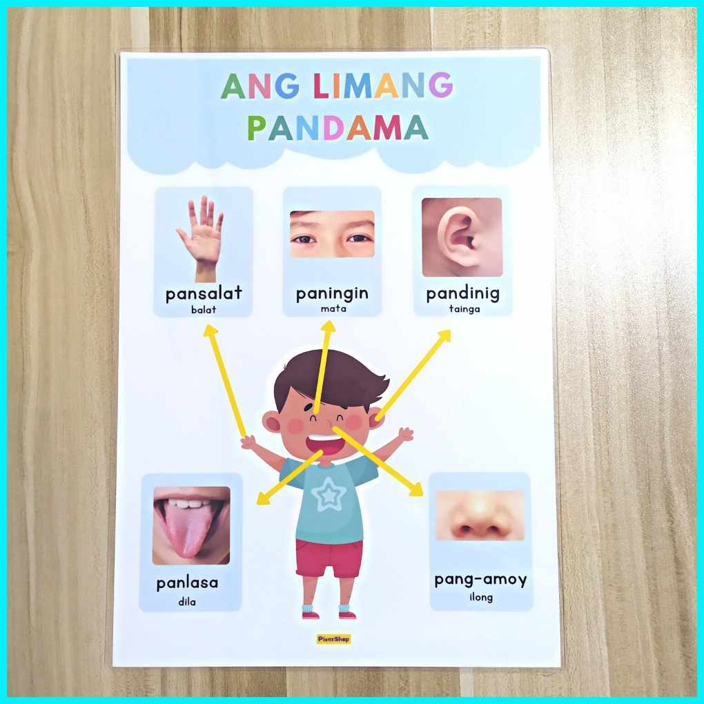 20 PCS. TAGALOG LAMINATED EDUCATIONAL CHARTS POSTER A4 SIZE THICK ...