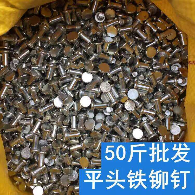 Flat Head Solid Galvanized Duct Ventilation Iron Rivets | Shopee ...