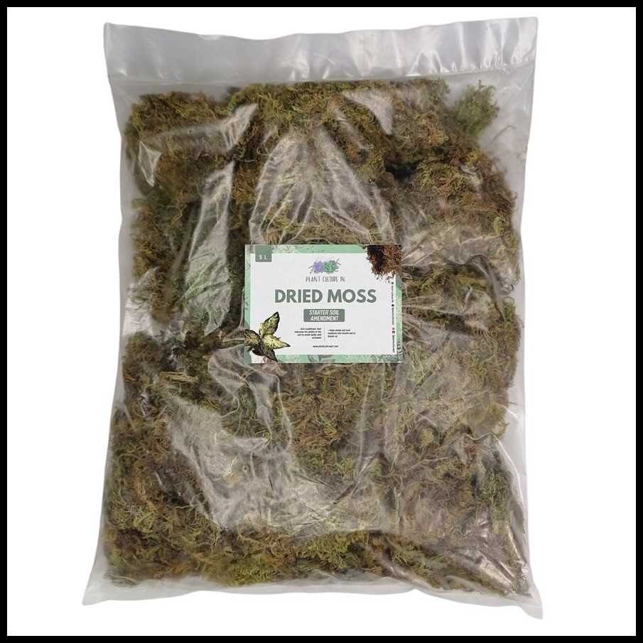 Dried Moss for Plants and Garden Use 5L | Shopee Philippines