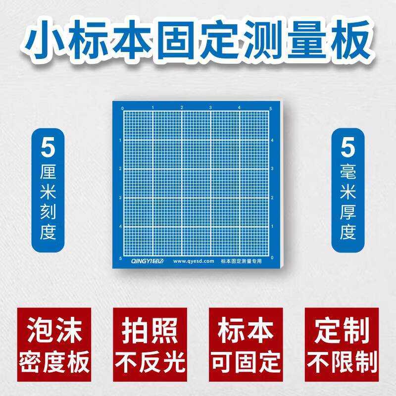 5X 5cm Medical ESD Pathology Tissue Surgical Specimen Measuring Ruler ...