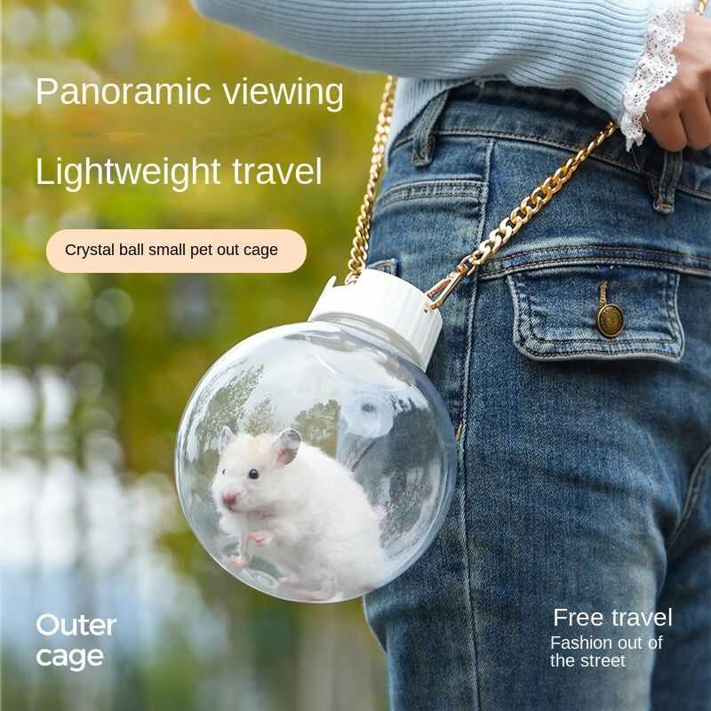 Transparent Sphere Pet Carrier With Gold And White Straps Portable ...