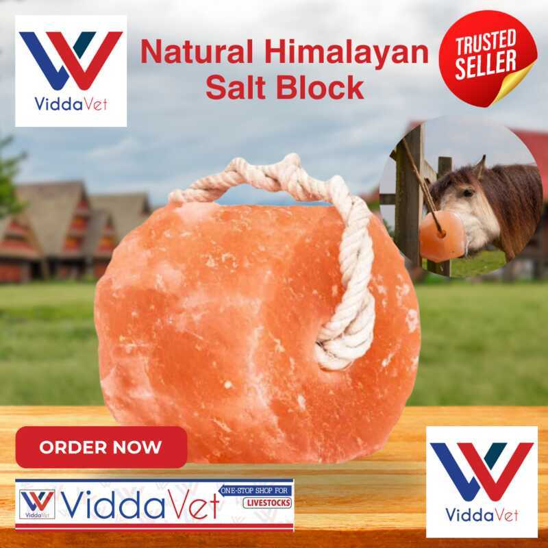 COD Livestock Mineral Block - Natural Himalayan Salt Lick For Cattle ...