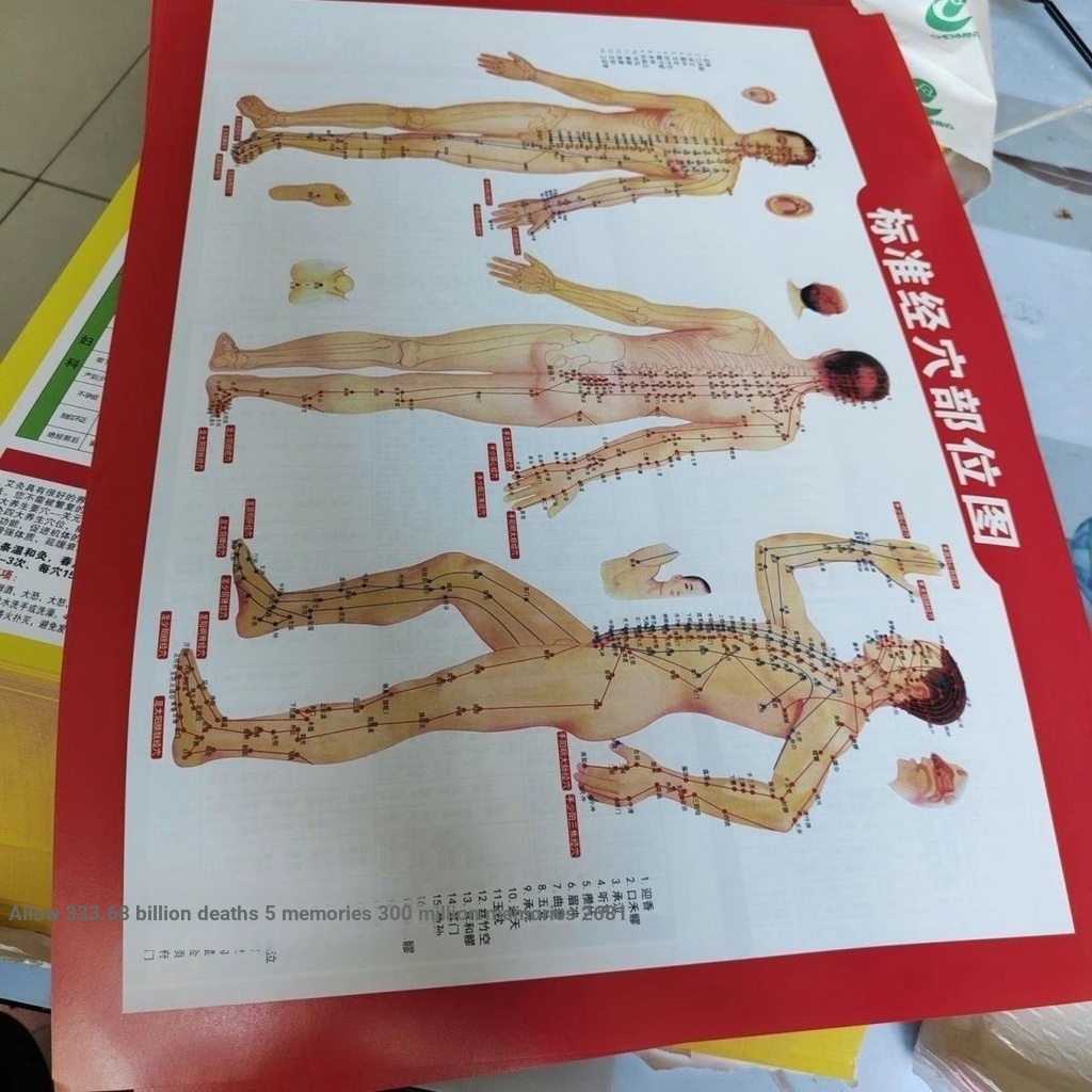 12.22 Standard Human Body Meridian Acupuncture Chart Household Whole ...