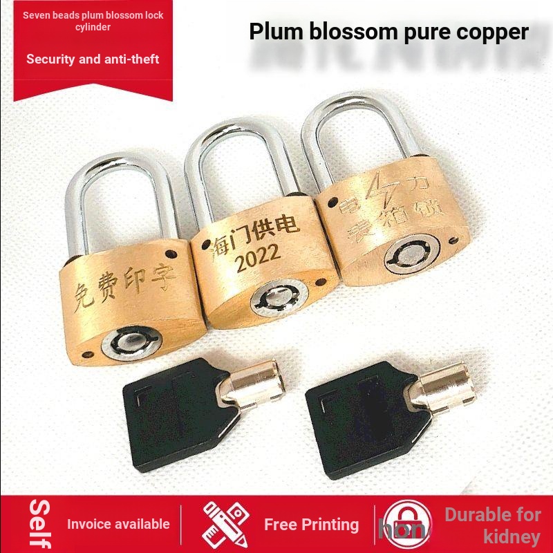 Electric Meter Box Lock Universal Copper Lock Electric Meter Box