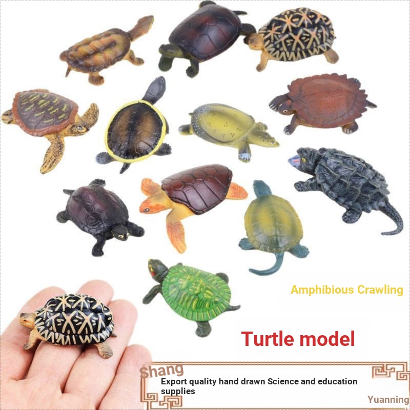 Children Cognitive Simulation Amphibious Reptile Turtle Ornaments ...