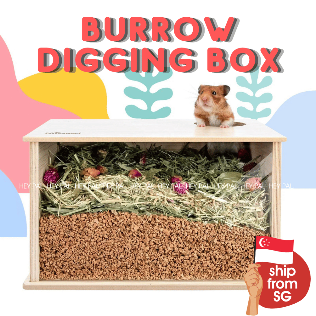 Hamster Digging Burrow Box Waterproof – Niteangel Burrow Activity Play ...