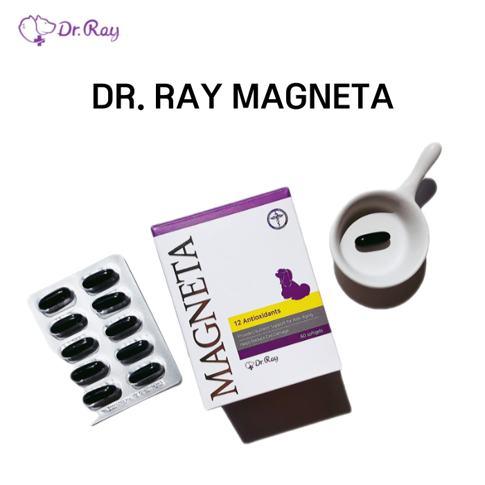 DR.RAY Magneta Antioxidant Nutritional Supplement for Pets 60 Capsules ...