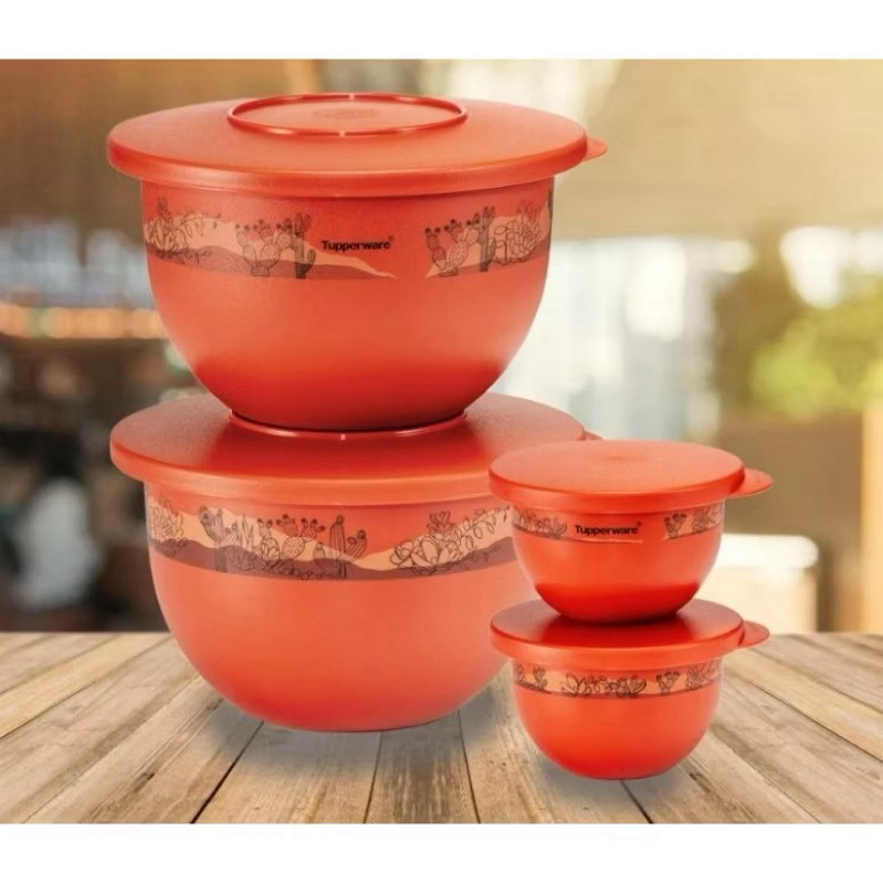 Tupperware Expression Bowl (Tupperware Bowl) | Shopee Philippines