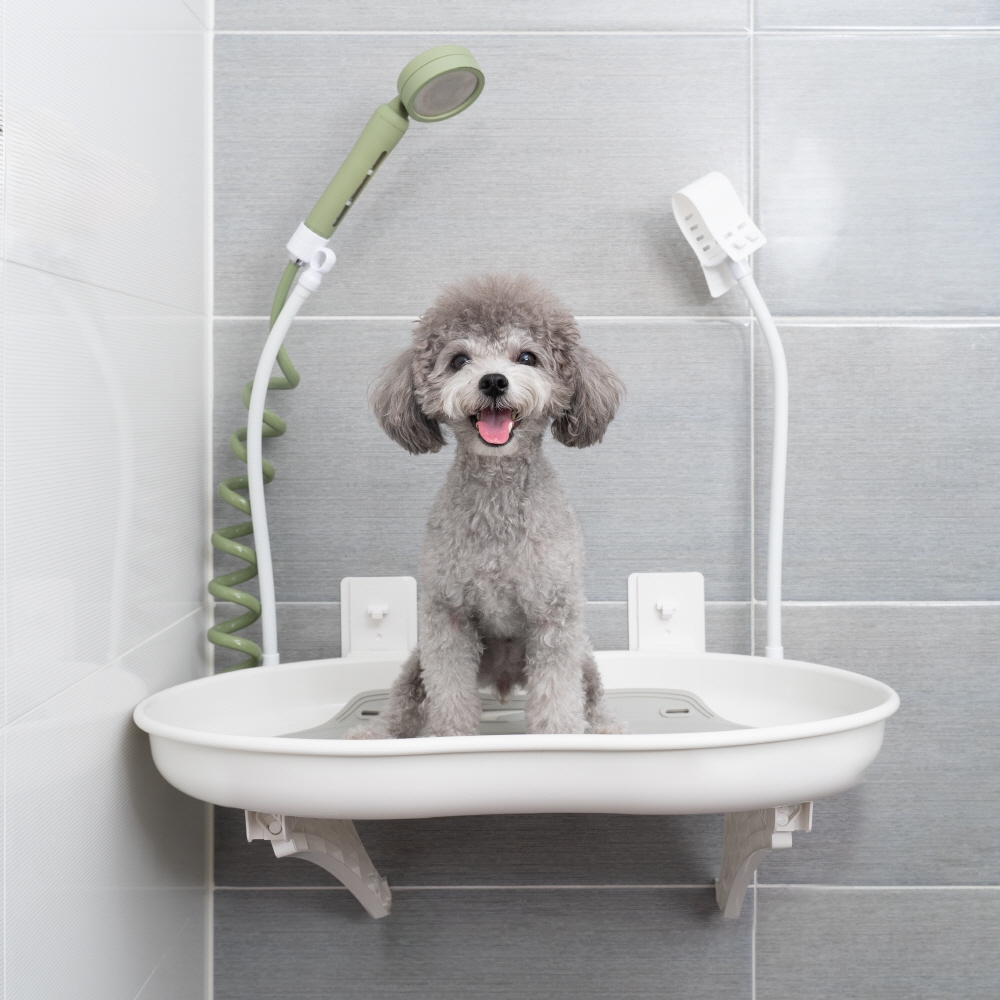 Standing pet bath table | Shopee Philippines