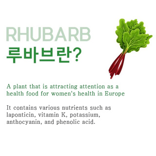 rhubarb chicory root supplement 600mg x 60 tablets | Shopee Philippines