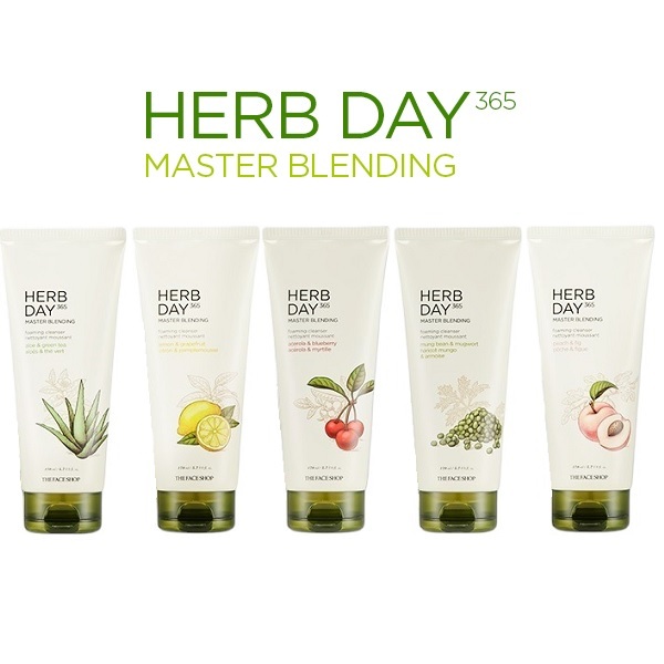 The Face Shop Herb Day 365 Master Blending Facial Foaming Cleanser