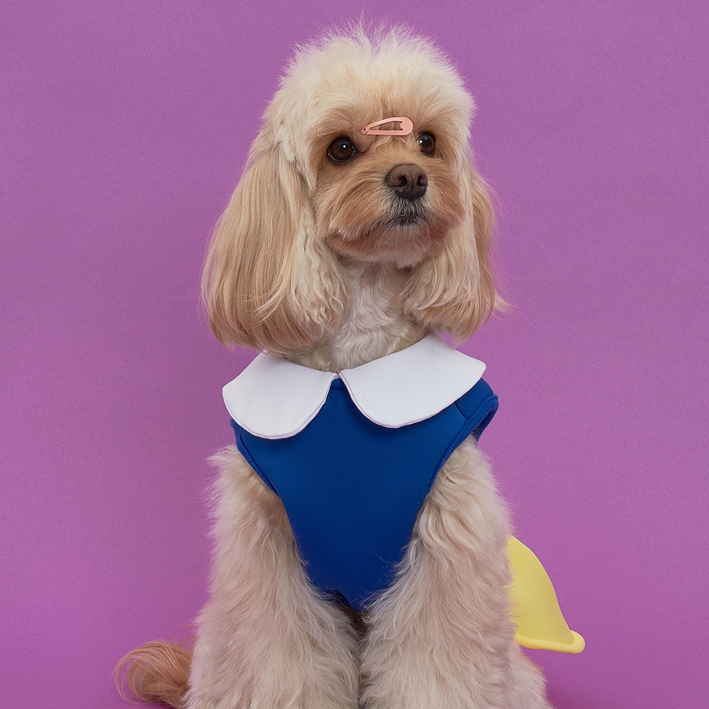 Pet Clothes Dog Clothes Cat Clothes OnePiece Dress Princess Dress