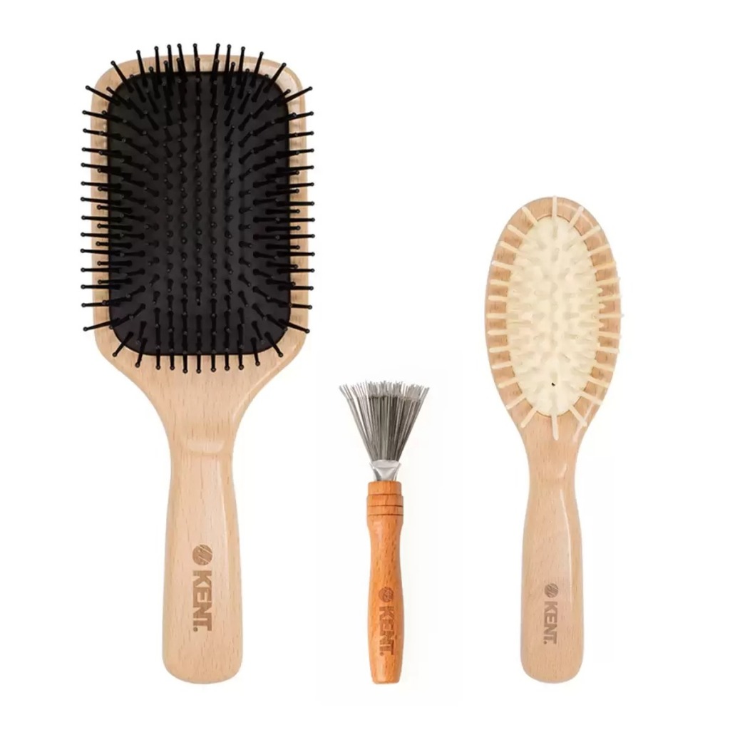 Kent Paddle and Cushion Brush Set Shopee Philippines