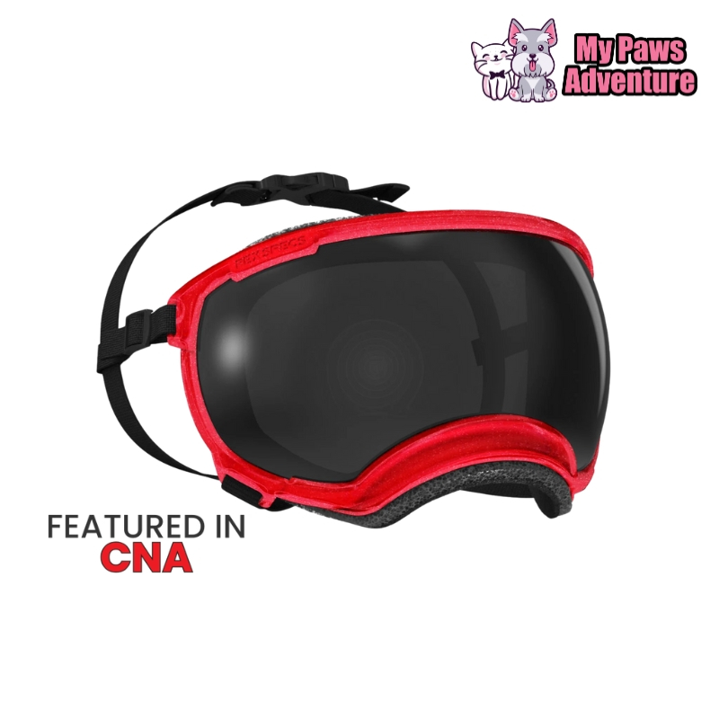 Rex Specs V2 Goggle (NEW COLOR), dog goggle, doggle, dog specs rexspecs ...