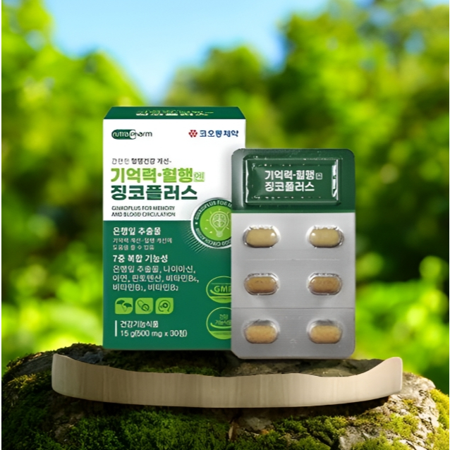Ginkgo Plus, Memory Booster, Brain Health, Circulation Enhancer, Korean ...