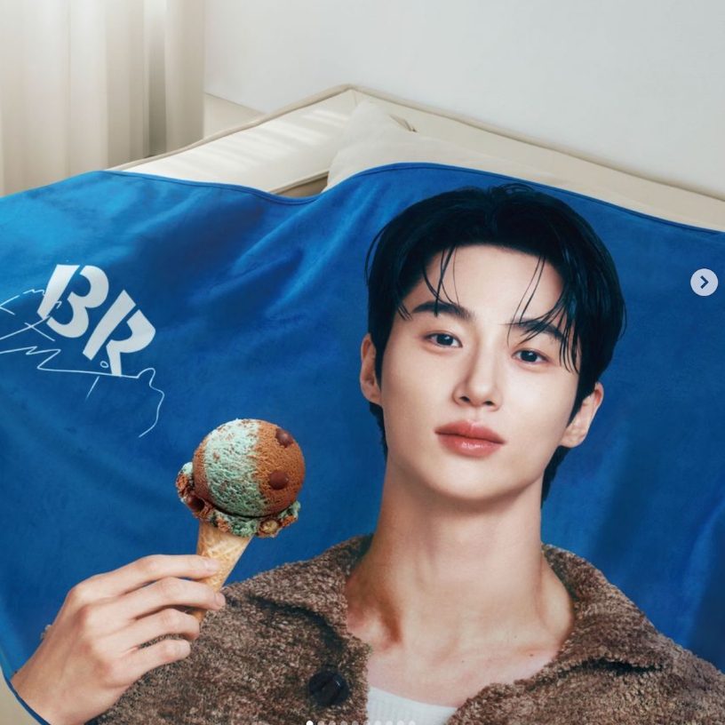 *Byeon Woo Seok merchandise* [Baskin Robbins] Blanket/Box/Paper bag