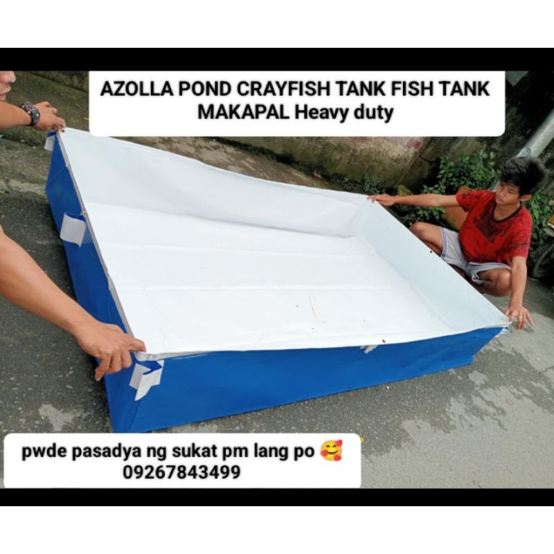 9x3x1feet crayfish tank azolla pond fish tank s400 heavy duty makapal ...