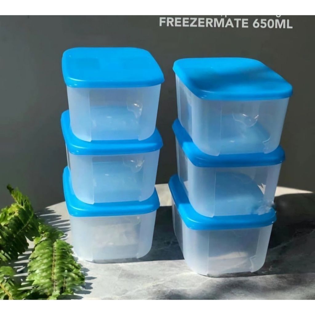 TUPPERWARE CONTAINERS FOR FREEZER, SET OF 6 X 650ML. | Shopee Philippines