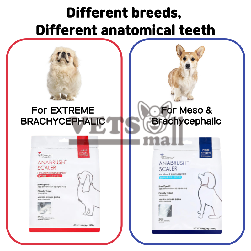 Mediwox ANABRUSH SCLARER For Meso & Brachycephalic, For Extreme ...