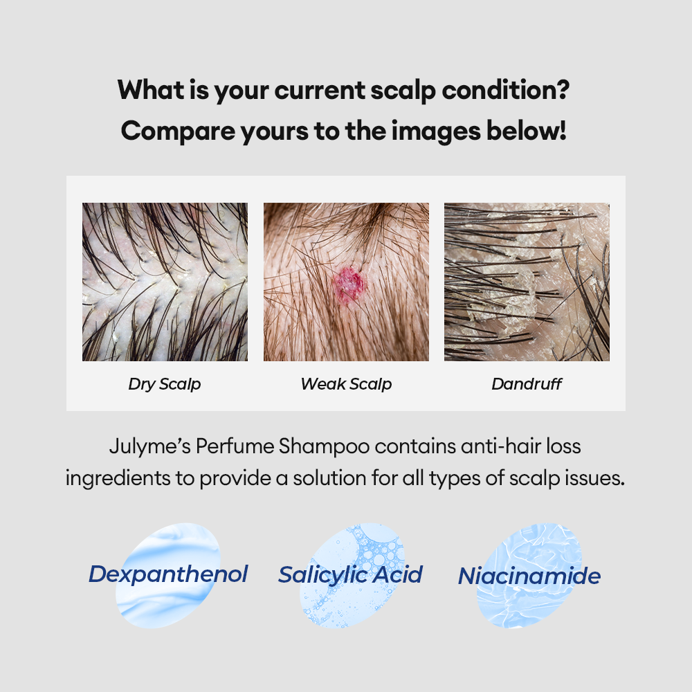 Julyme Bundle of 3 / Perfume Shampoo 500ml Plus Treatment 500ml Plus