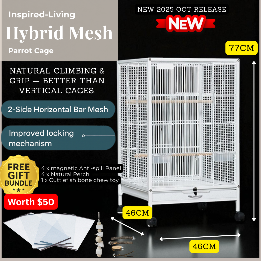 Large Bird Cage with Free Anti-Spill Fender | Spacious Flight Parrot ...