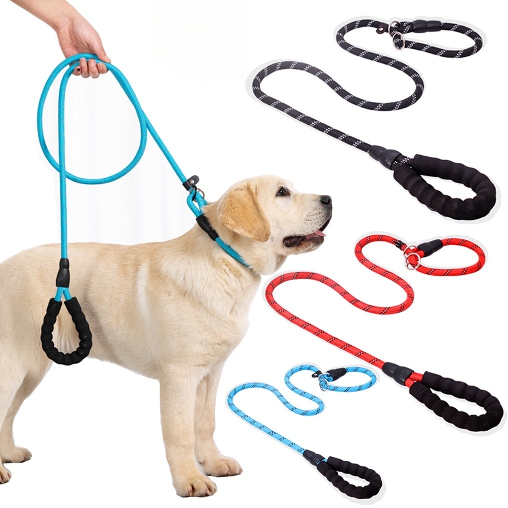 Curated visual reference: Thread Safety For Dog Owners Reference: 1Pc Dog Leash With Reflective Threads For Night Safety