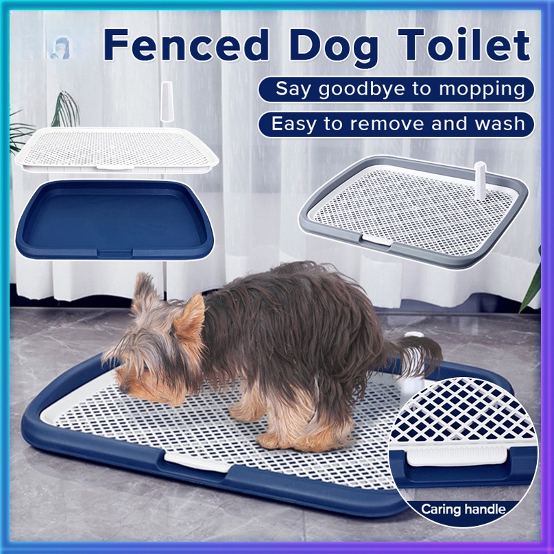 Xapigo 5-Piece Pet Grooming Kit - Dog Bath Brush, Shampoo Brush & Grooming Tools For All Dogs