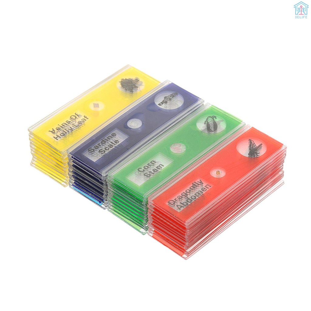 48pcs/set Plastic Prepared Microscope Slides Animals Insects Plants ...