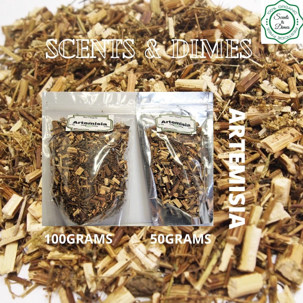Natural Artemisia Annua, Dried Sweet Wormwood, Herbal Loose Leaves Tea ...