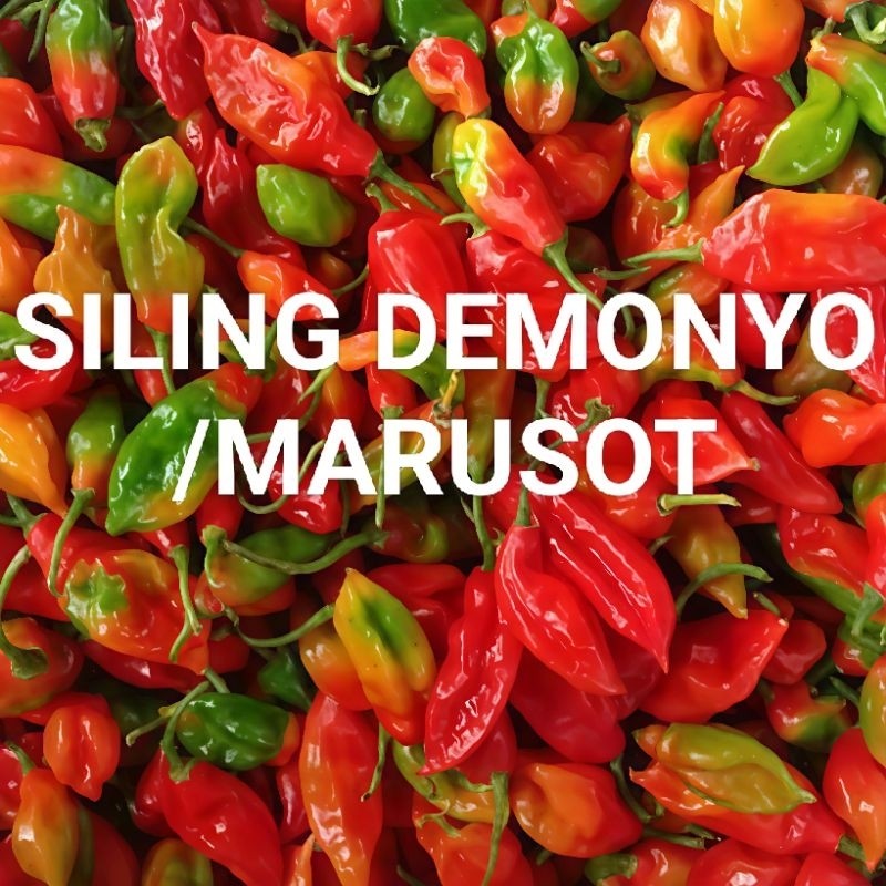Siling Demonyo Pepper[FH)Seeds(F'(Capsicum!EF/Chinense) | Shopee ...