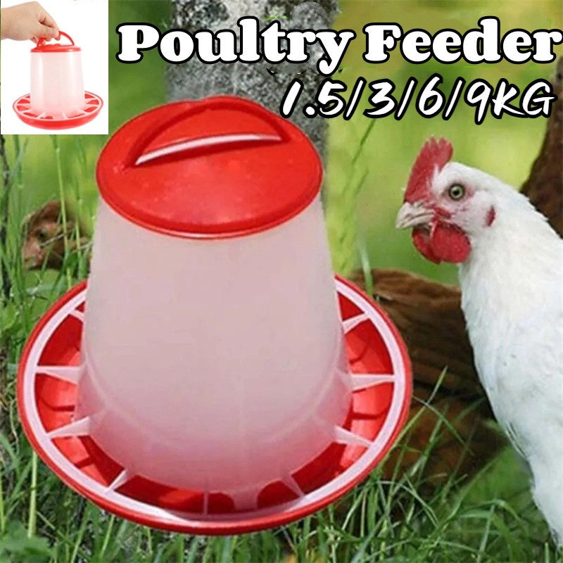 Automatic Chicken Feeder Bucket Rooster Hen Feeding Device Farm Animal ...