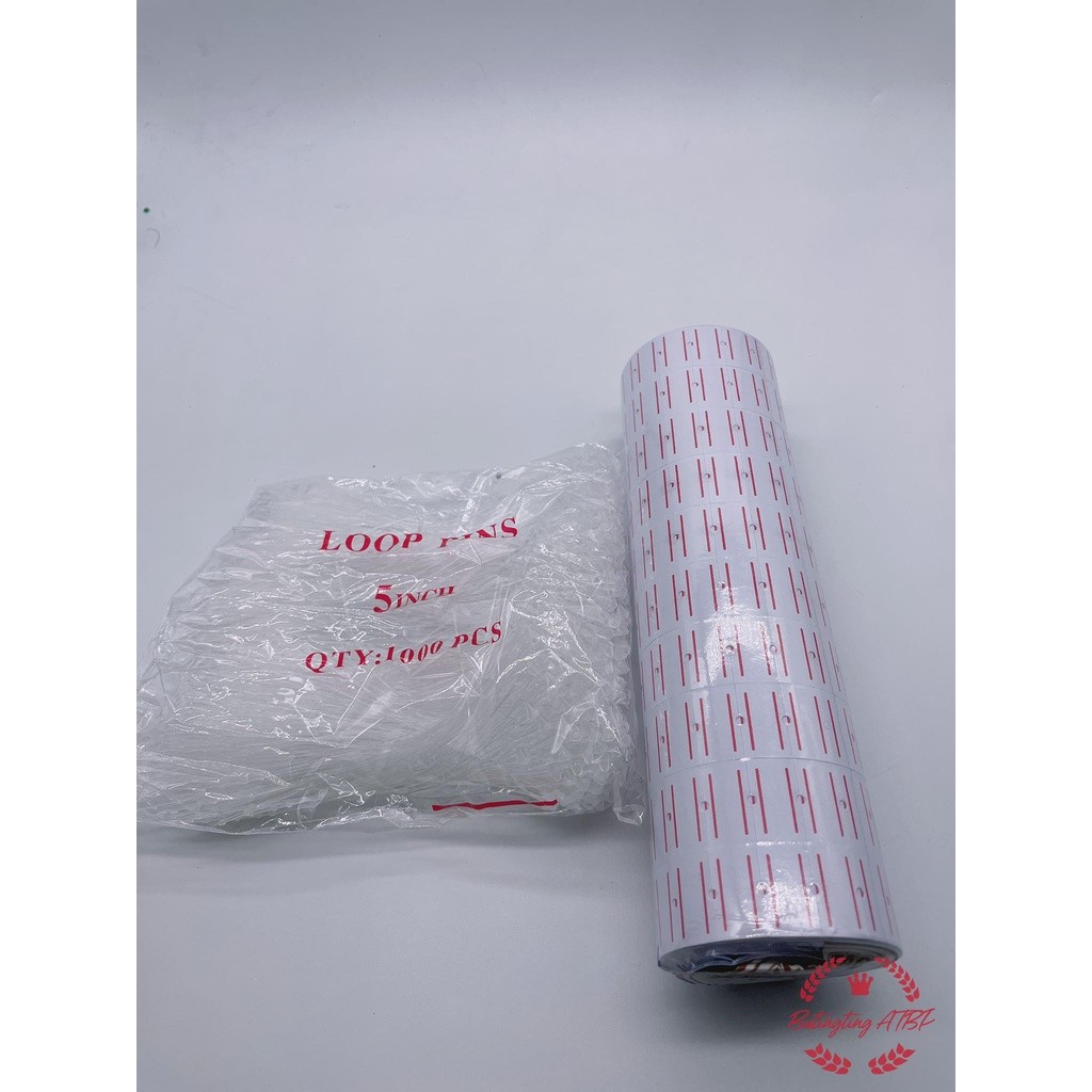 White Nylon Loop Pins, Loop Locks, String Pins (1000pcs Per Pack)& tag ...