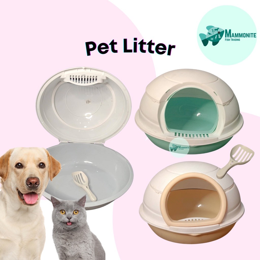 Pet Cat Kitten Litter Box Potty Training Colorful Open ZC1005 | Shopee ... - Training Kitten Litter Box With Easy Clean
