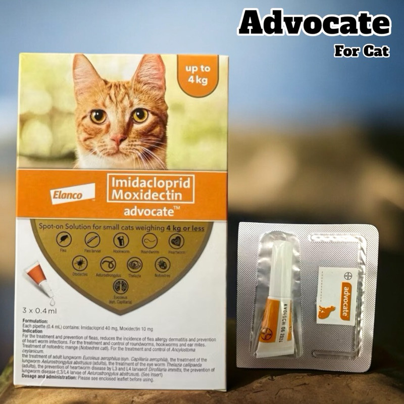Advocate`Xfor;wBCat up to 4kg ( Per Box~b?or*H~per?o~Piece~Je ...