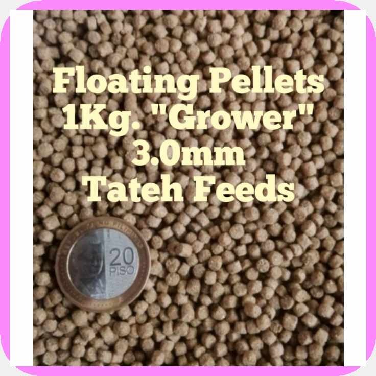 Tateh[LO$Grower#l)KOI}T)Fish}R)food}B)floating}T)pellets}z)1kg/500g ...