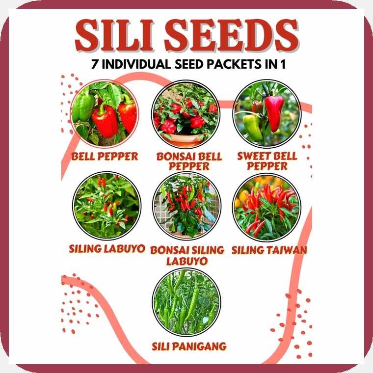 HIGH)xz:QUALITY$V'SILI-zlSEEDS]AF#(Siling]yW#Labuyo/Demonyo/Taiwan,]iw# ...