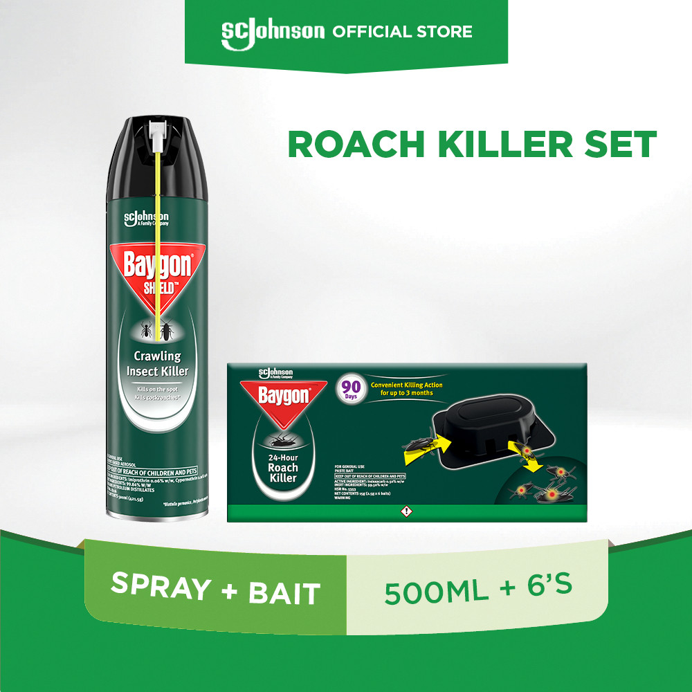 Baygon 24-Hour Roach Killer and Crawling Insect Killer Aerosol - 500ml ...